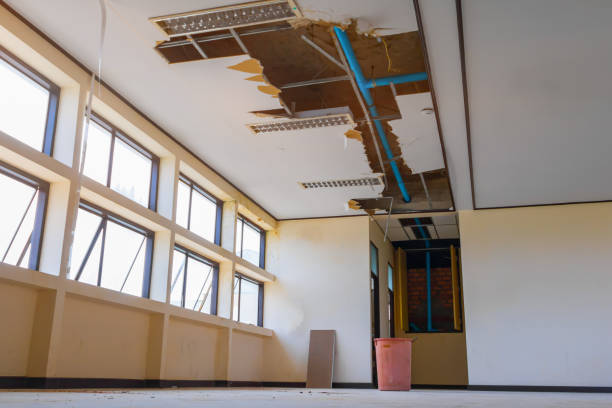 Best Residential water damage restoration  in Crump, TN