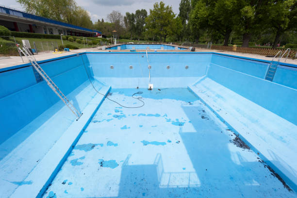Best Mold removal after water damage  in Crump, TN