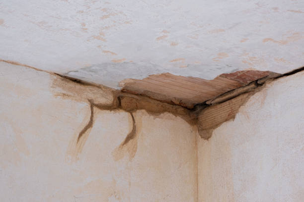 Best Water damage cleanup near me  in Crump, TN