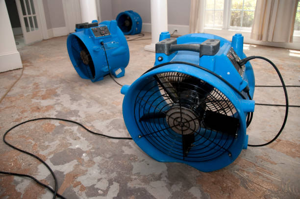 Best Flooded house restoration  in Crump, TN