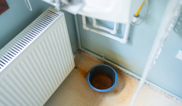 Best Water damage restoration experts  in Crump, TN