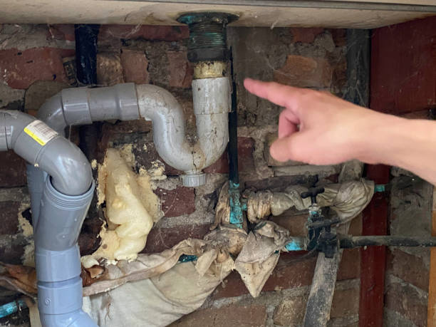 Best Ceiling water damage repair  in Crump, TN