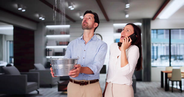  Crump, TN Water damage restoration Pros