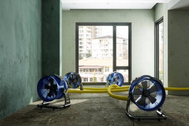 Best Water damage restoration near me  in Crump, TN
